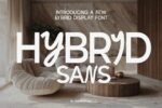 20+ Cool Hybrid Fonts for Modern Branding