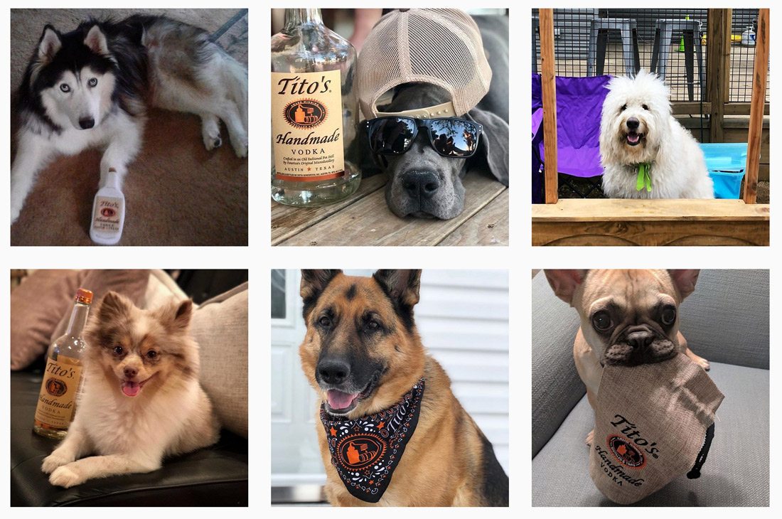 insta-vodka-dogs 5 Tips to Use Instagram Creatively for Your Brand design tips 