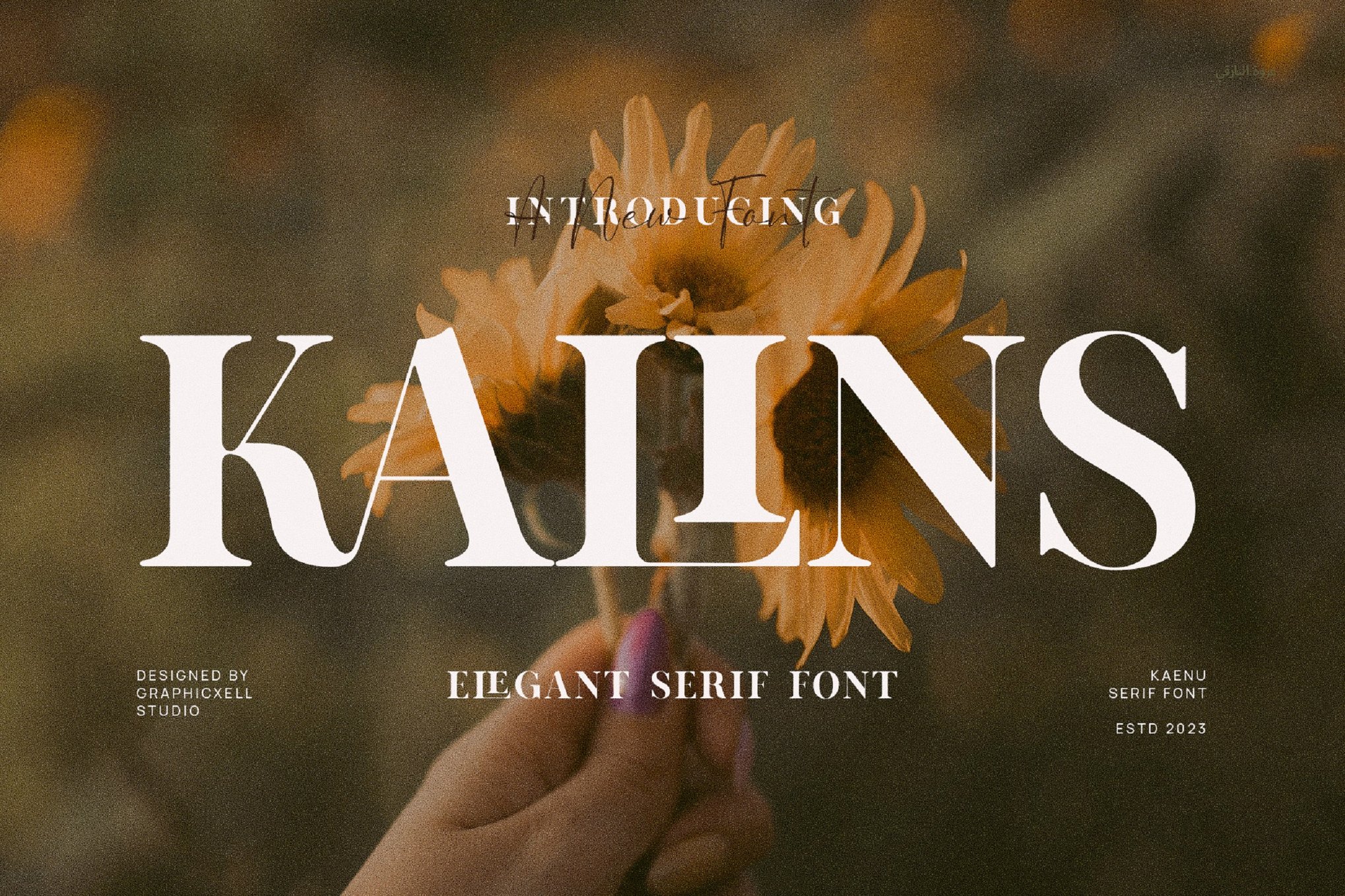 Kalins - Elegant Humanist Font