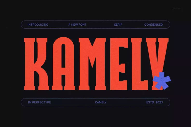 View Information about Kamely Futuristic Slab Serif