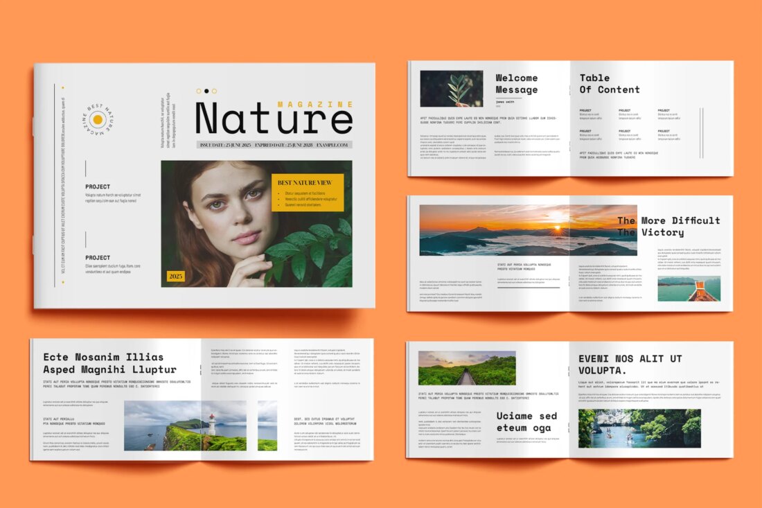 75+ Best InDesign Magazine Templates 2024 (Free & Premium)