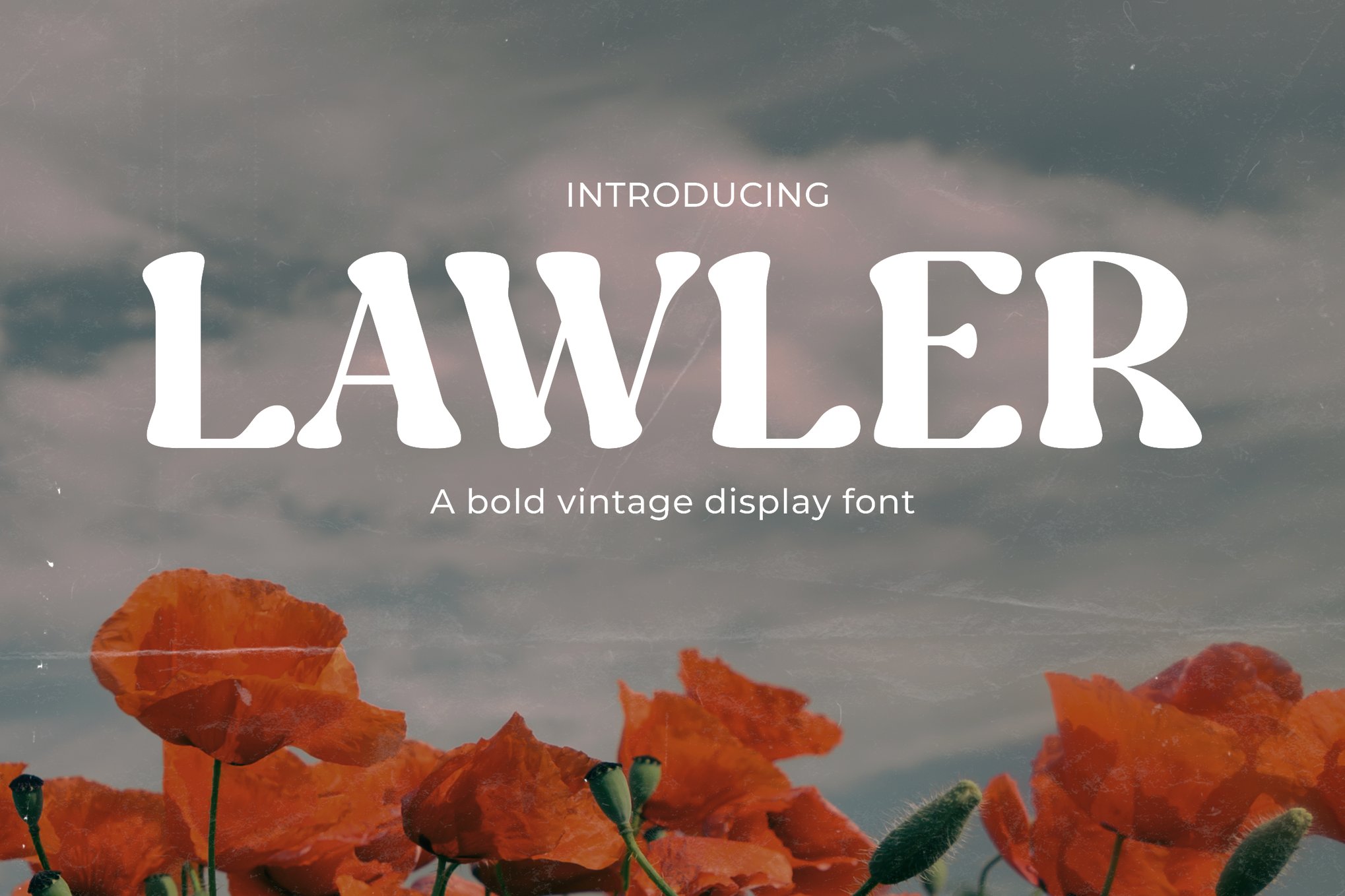 Lawler - Vintage Serif Logo Font