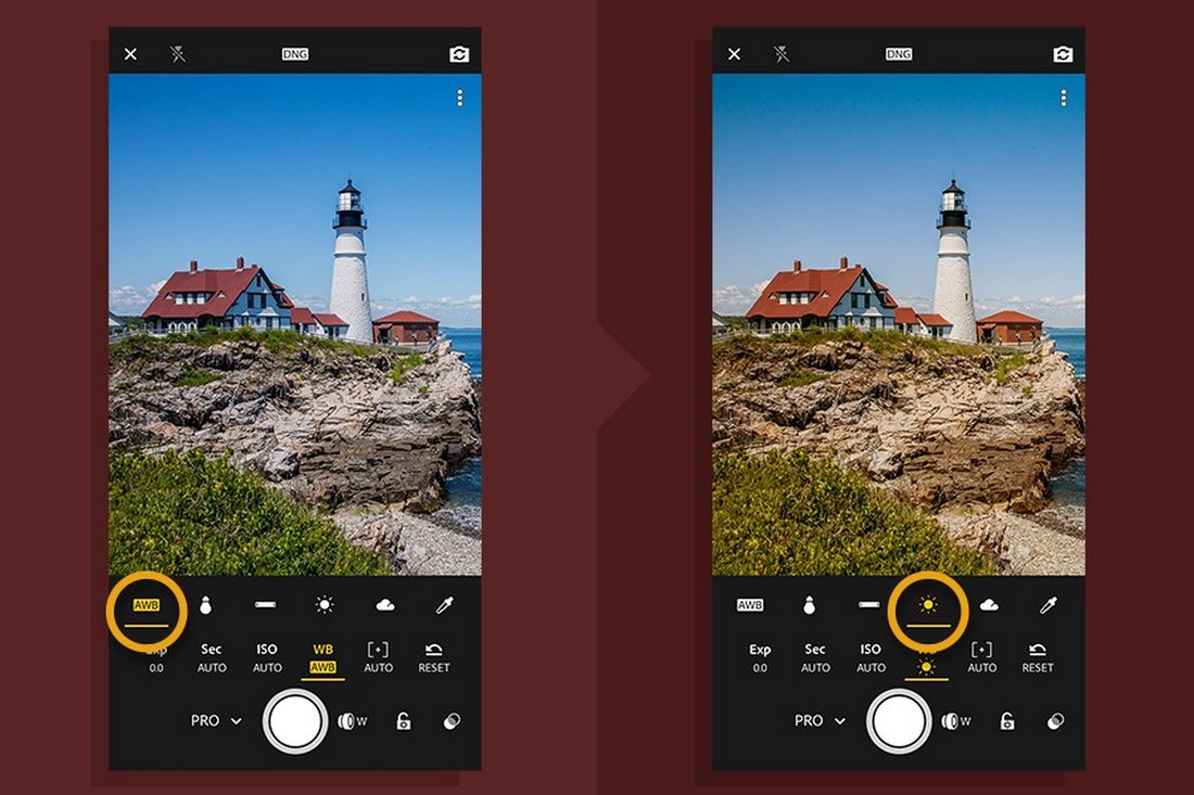 lightroom mobile app