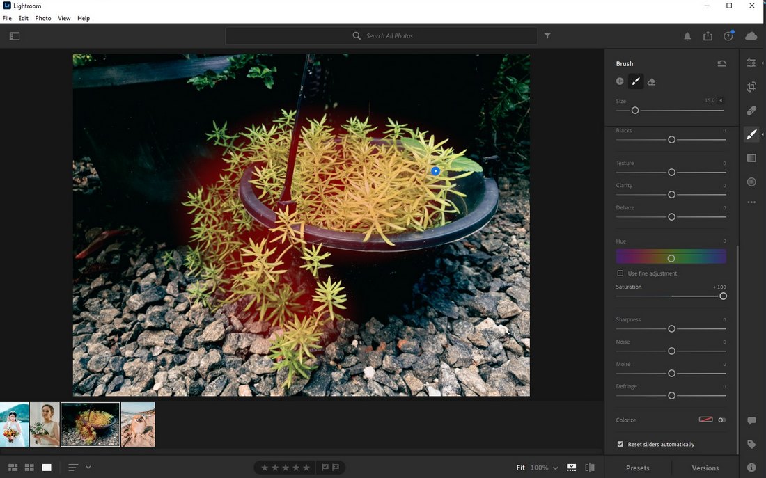 lightroom free trial all tools