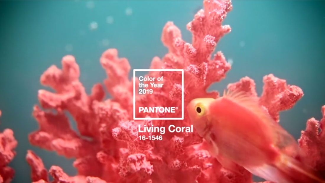 pantone color 2019