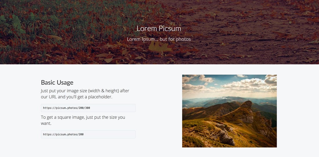 lorem-picsum 4 Unique Placeholder Image Services for Designers design tips 