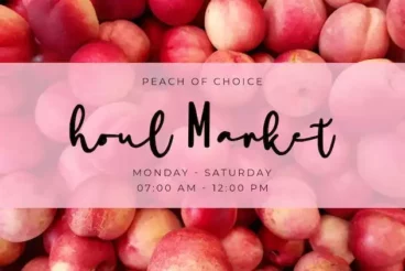 First alternate image for Lovely Beige Feminine Handwritten Font