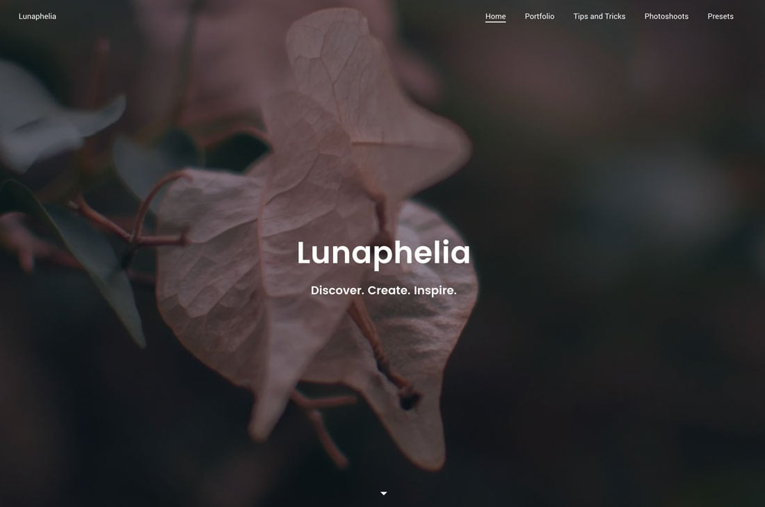 lunap 10+ Best Free Portfolio Website Tools & Templates in 2021 design tips 