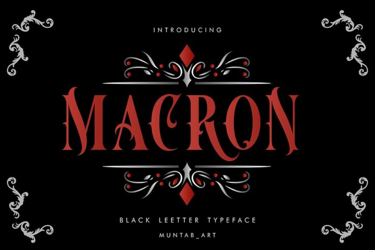 View Information about Macron Font