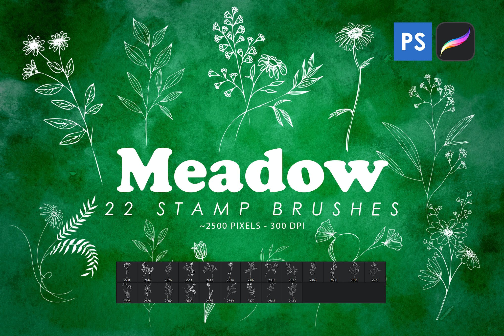 Meadow Grass Stamp Brushes for Photoshop