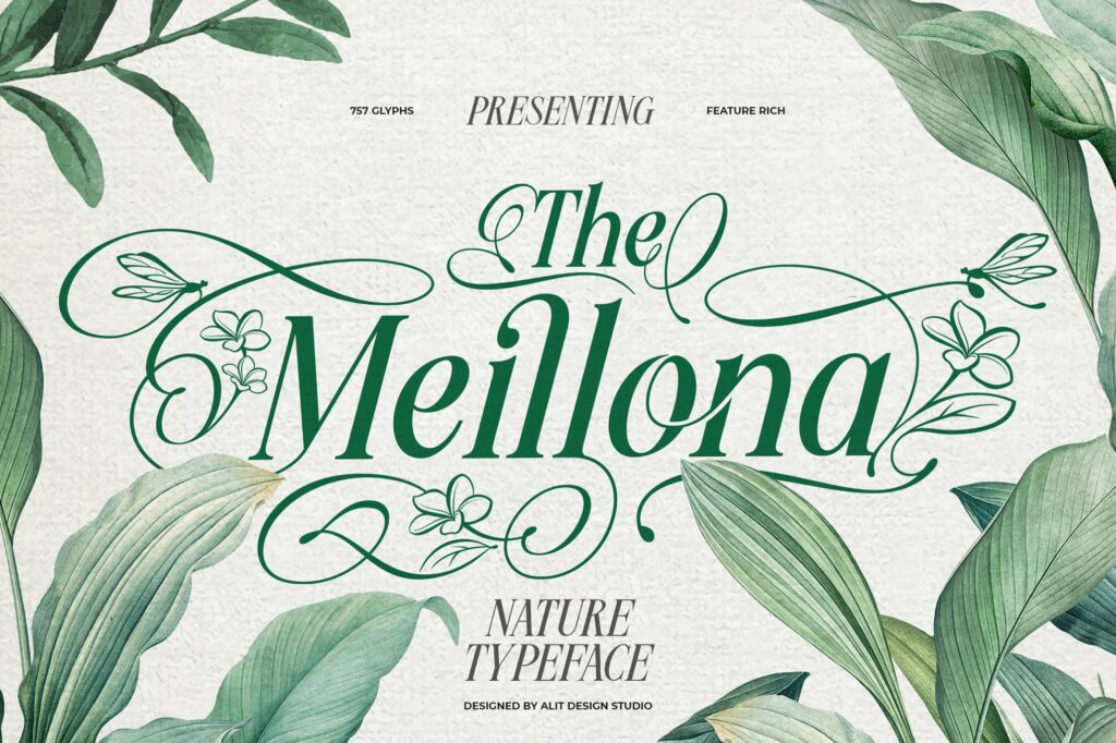 45+ Best Earthy & Nature Fonts 2026 | Design Shack