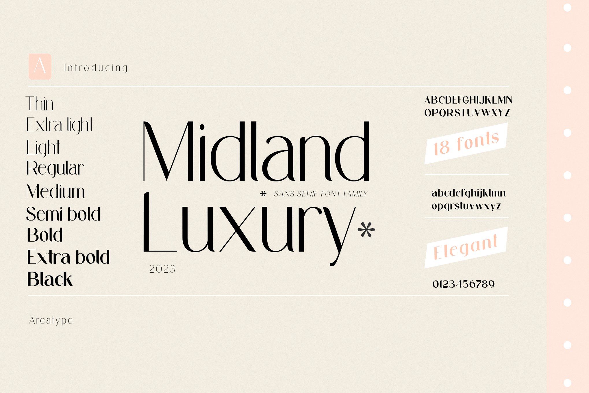Midland - Luxury Small Text Font Family