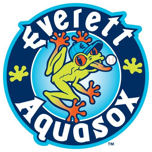 Minor league logos have come a long way since these primitive versions from  '80s