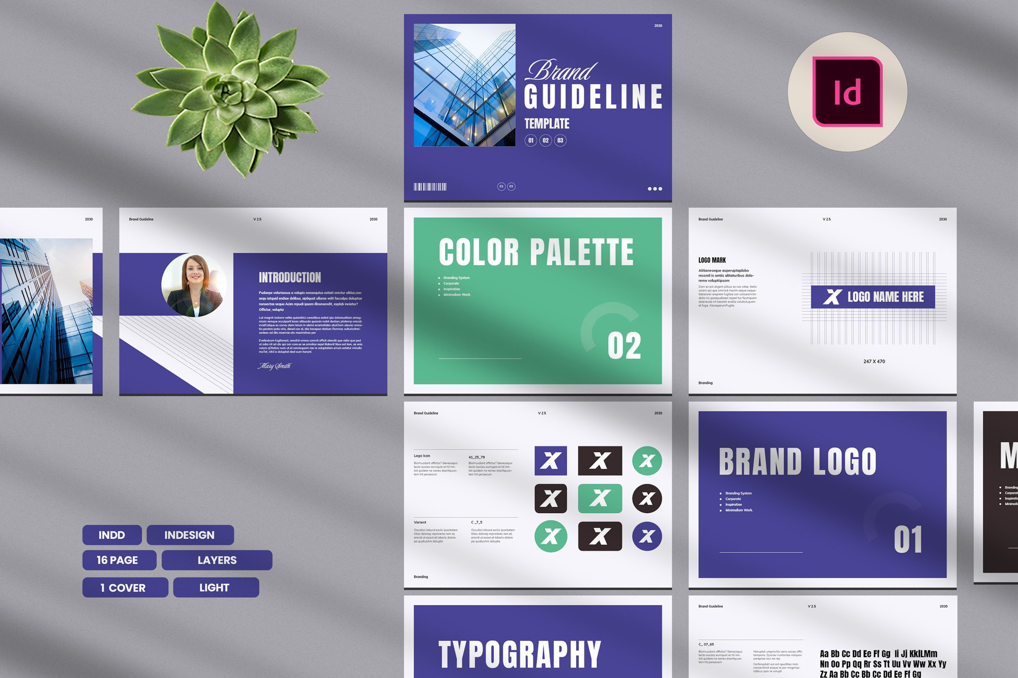 Modern Brand Style Guide Template