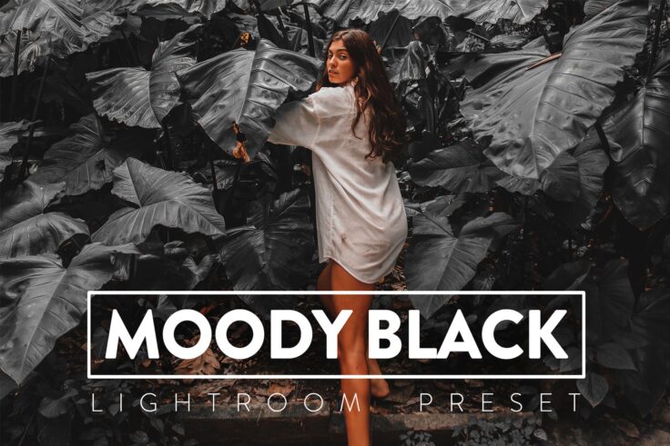 View Information about Moody Black Lightroom Presets