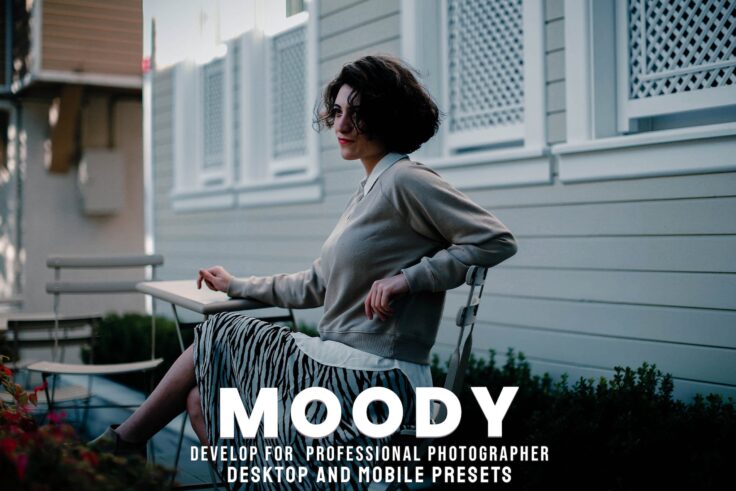 View Information about Moody Desktop and Mobile LR Presets