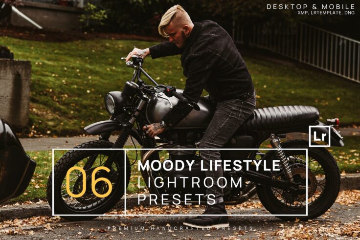 View Information about Moody Lifestyle Lightroom Presets