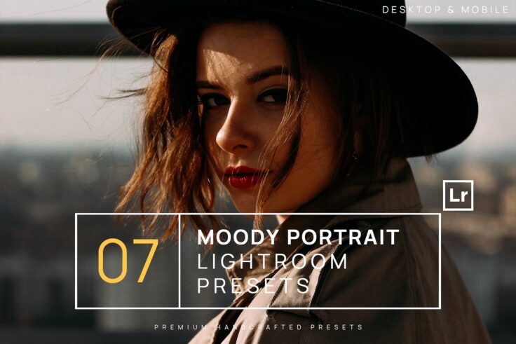 View Information about Moody Portrait Lightroom Presets