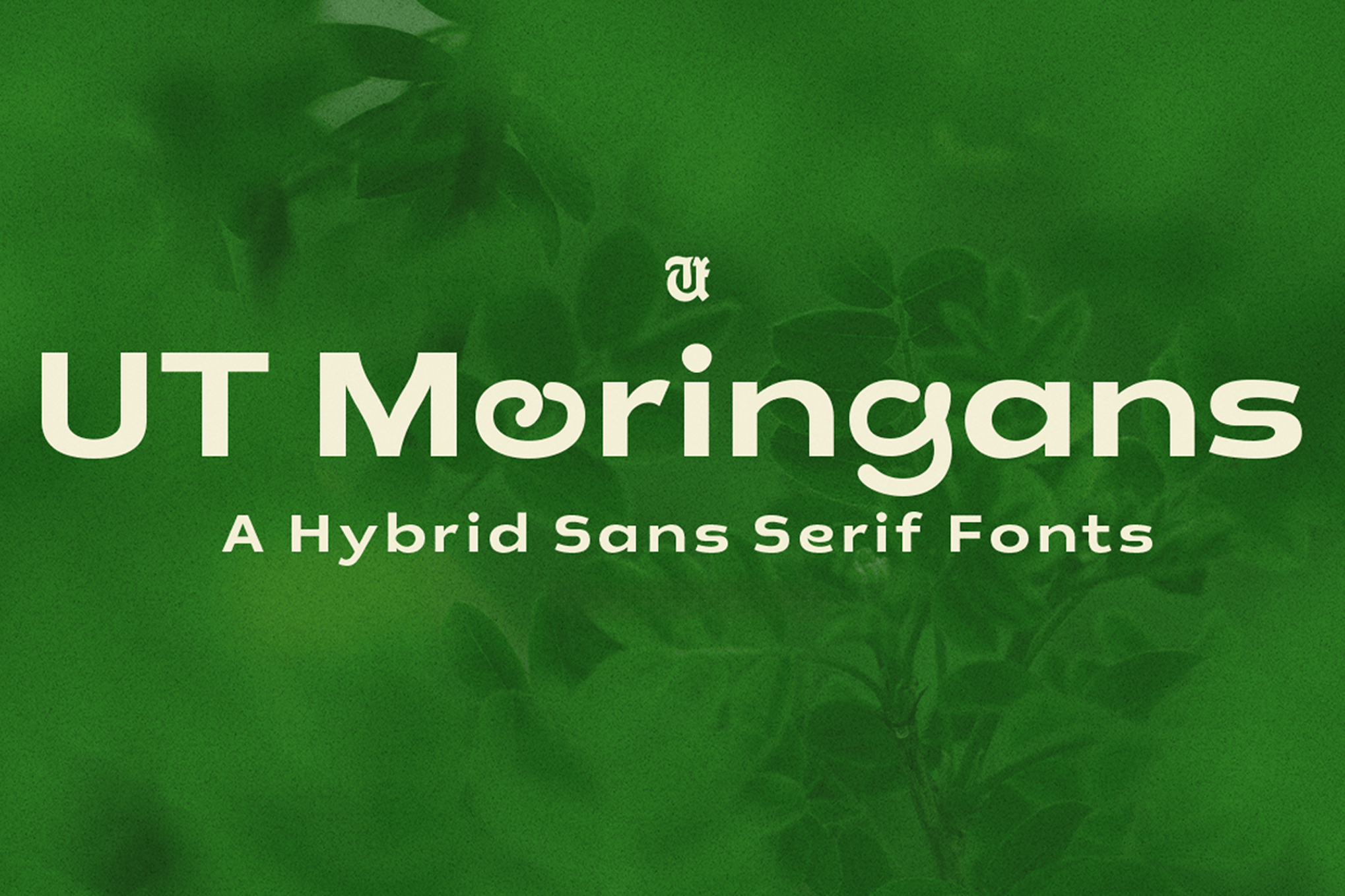 Moringans - Hybrid Sans Serif Font