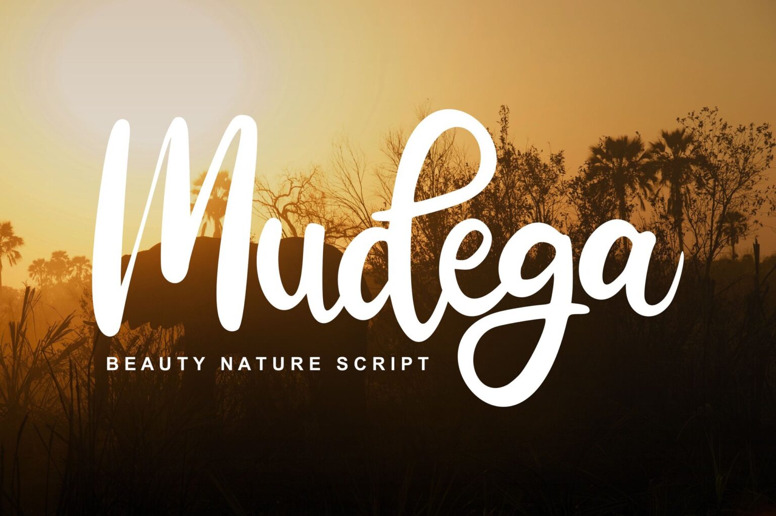 20+ Awesome Australian Fonts With Laid-Back Creative Energy | Design Shack