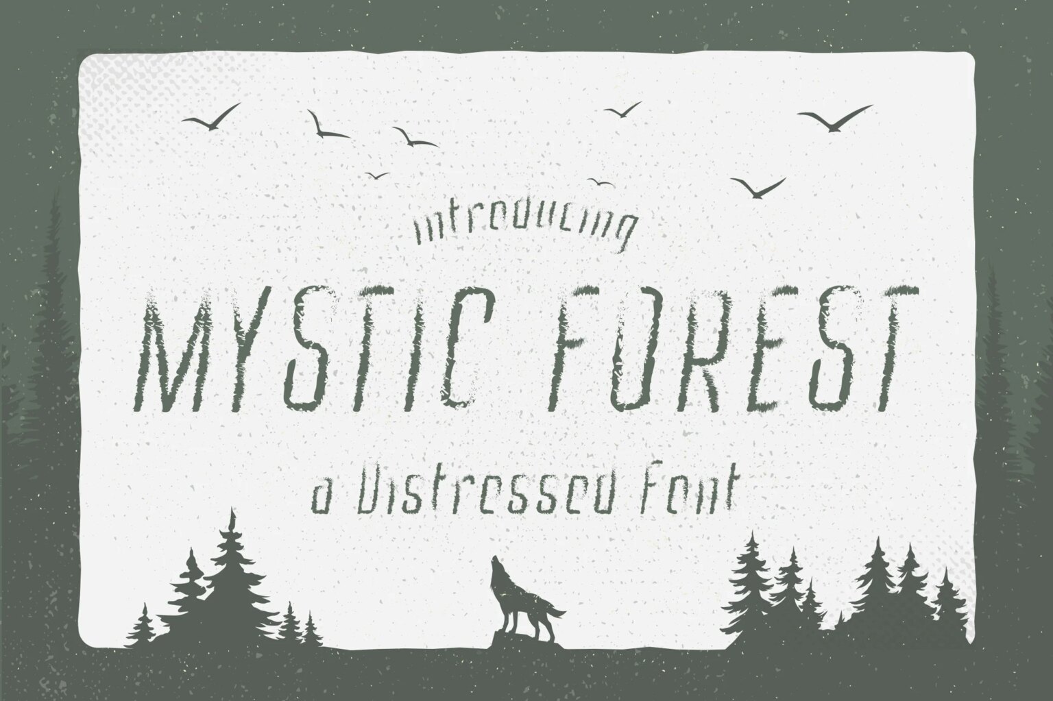 25+ Best Jungle & Safari Fonts for Forest-Themed Designs | Design Shack