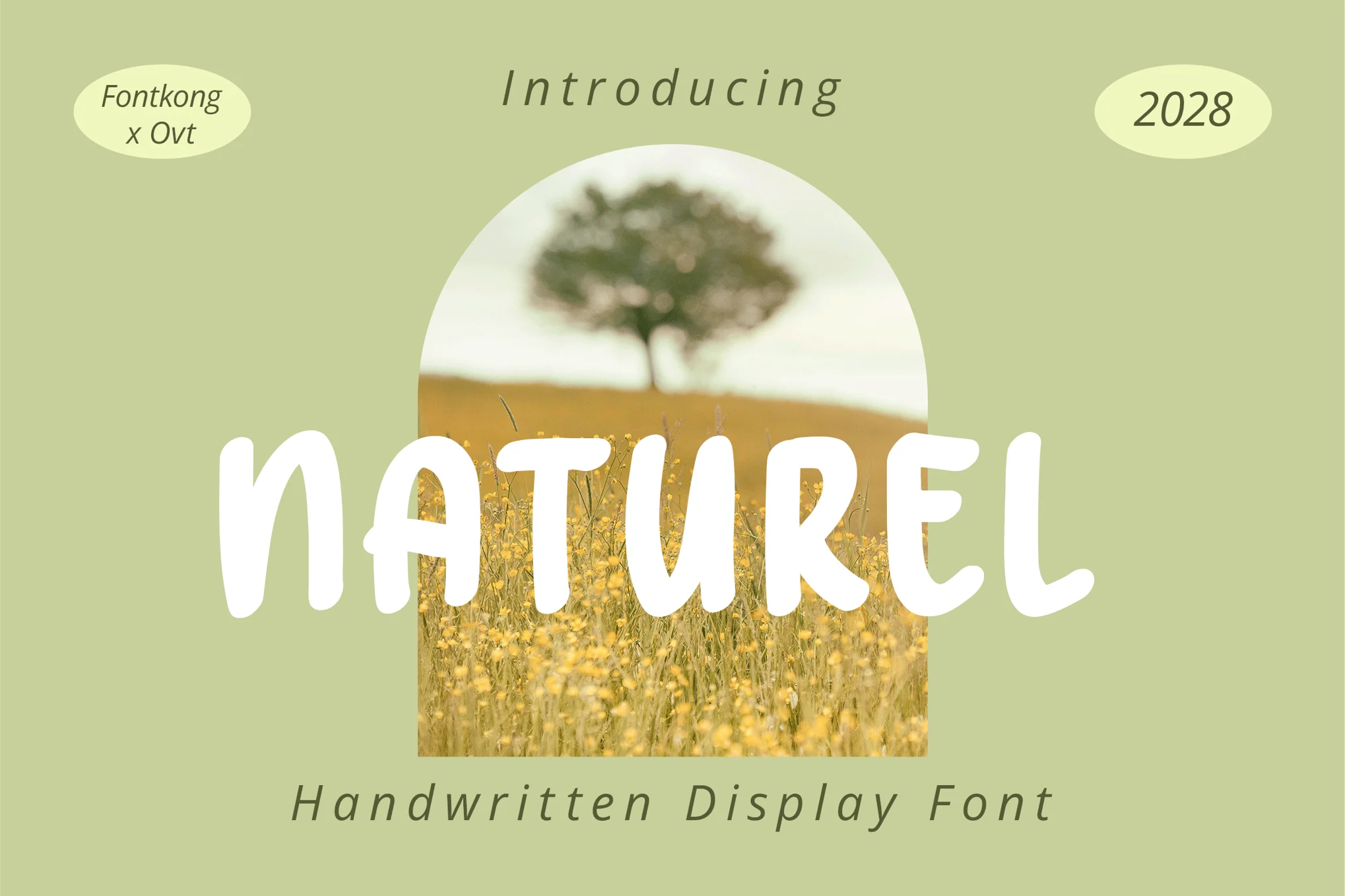 Naturel - Handwritten Nature Font