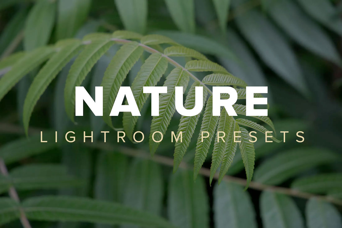 download lightroom presets