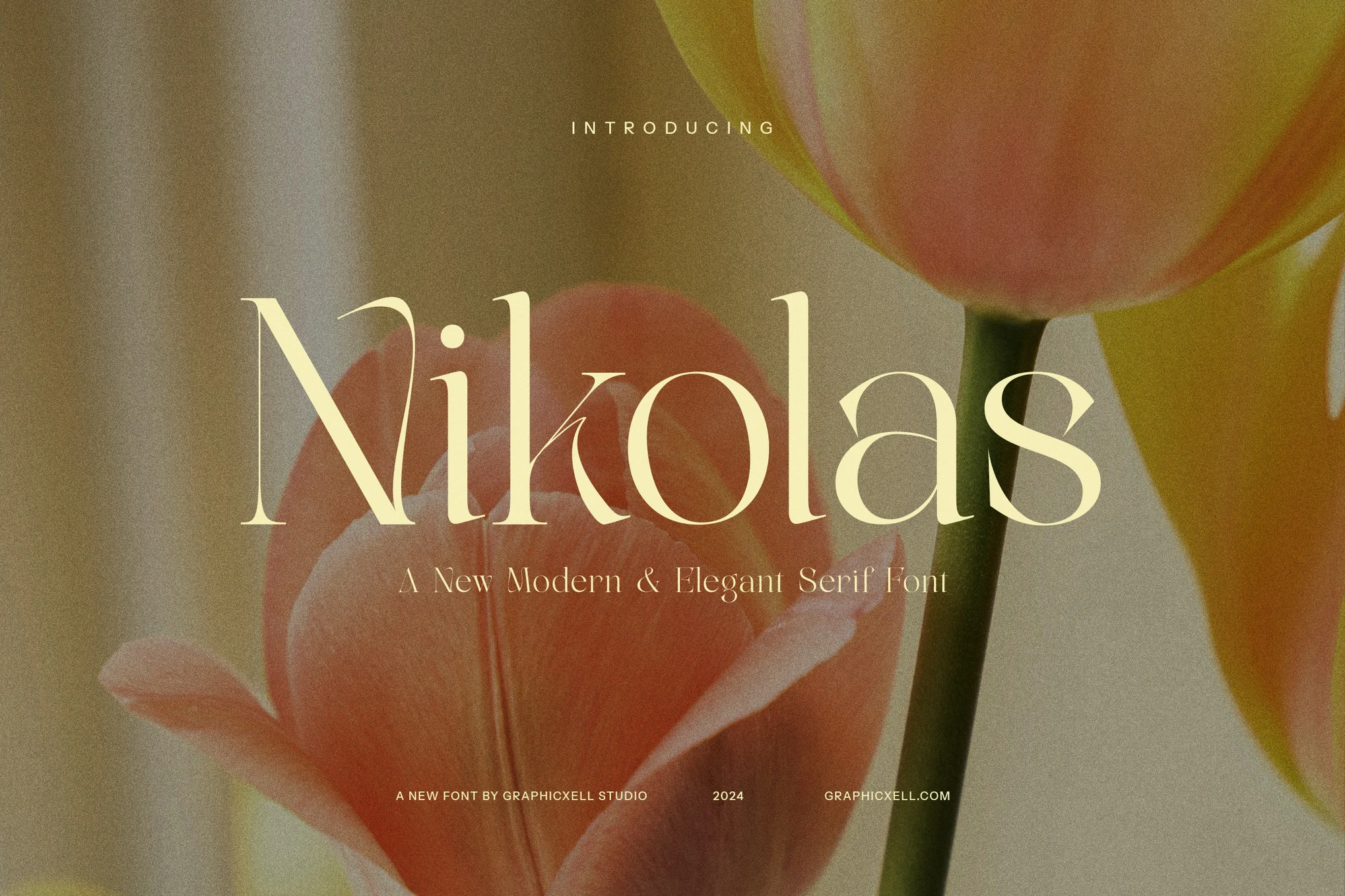 Nikolas - Modern Aesthetic Font