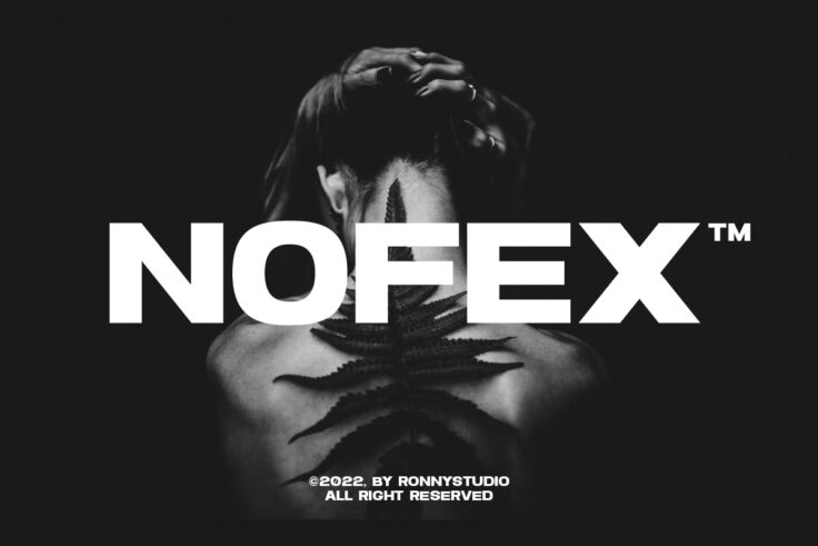 View Information about Nofex Expanded Sans Serif Font