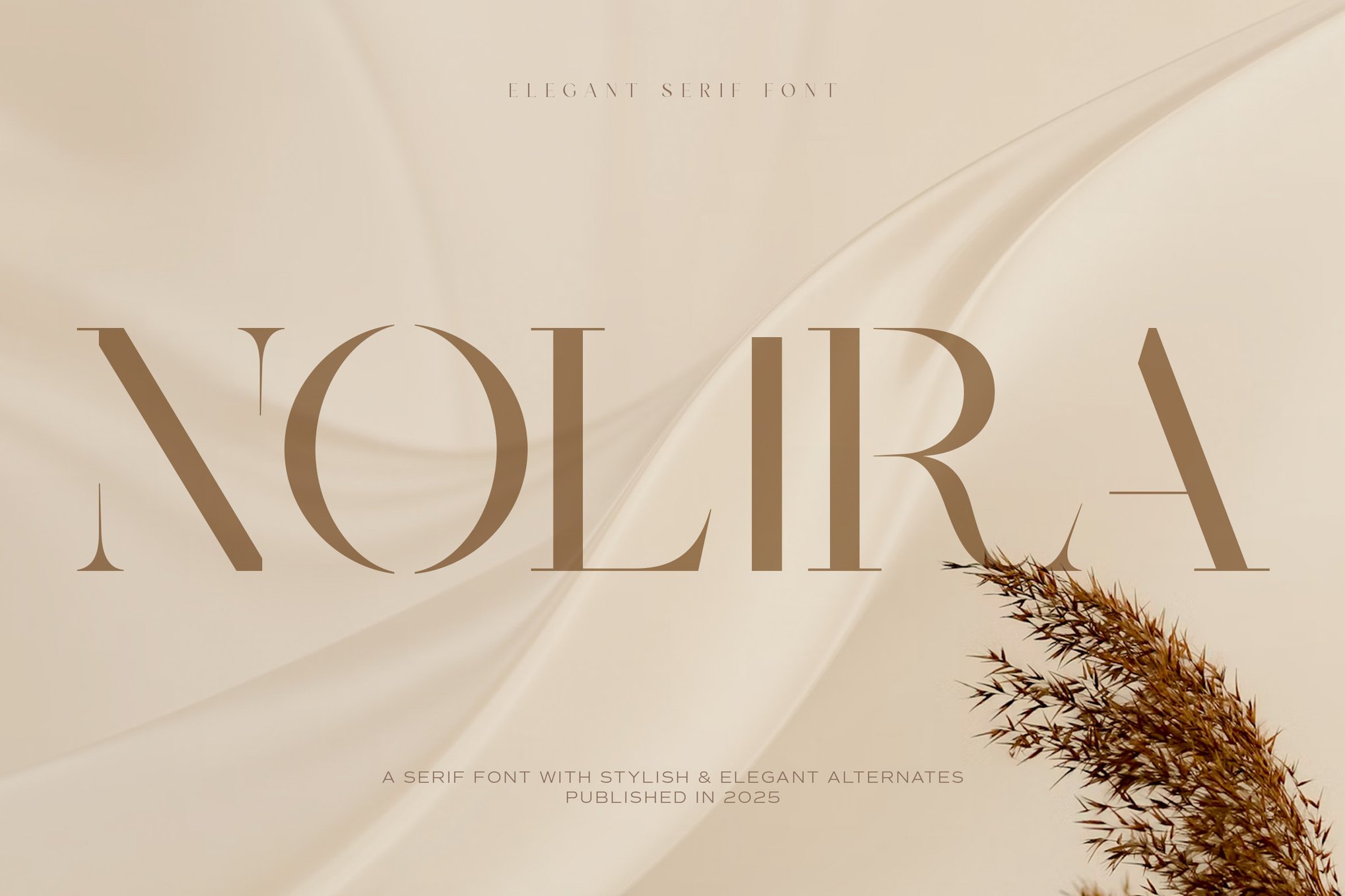 Nolira - Luxury Serif Font