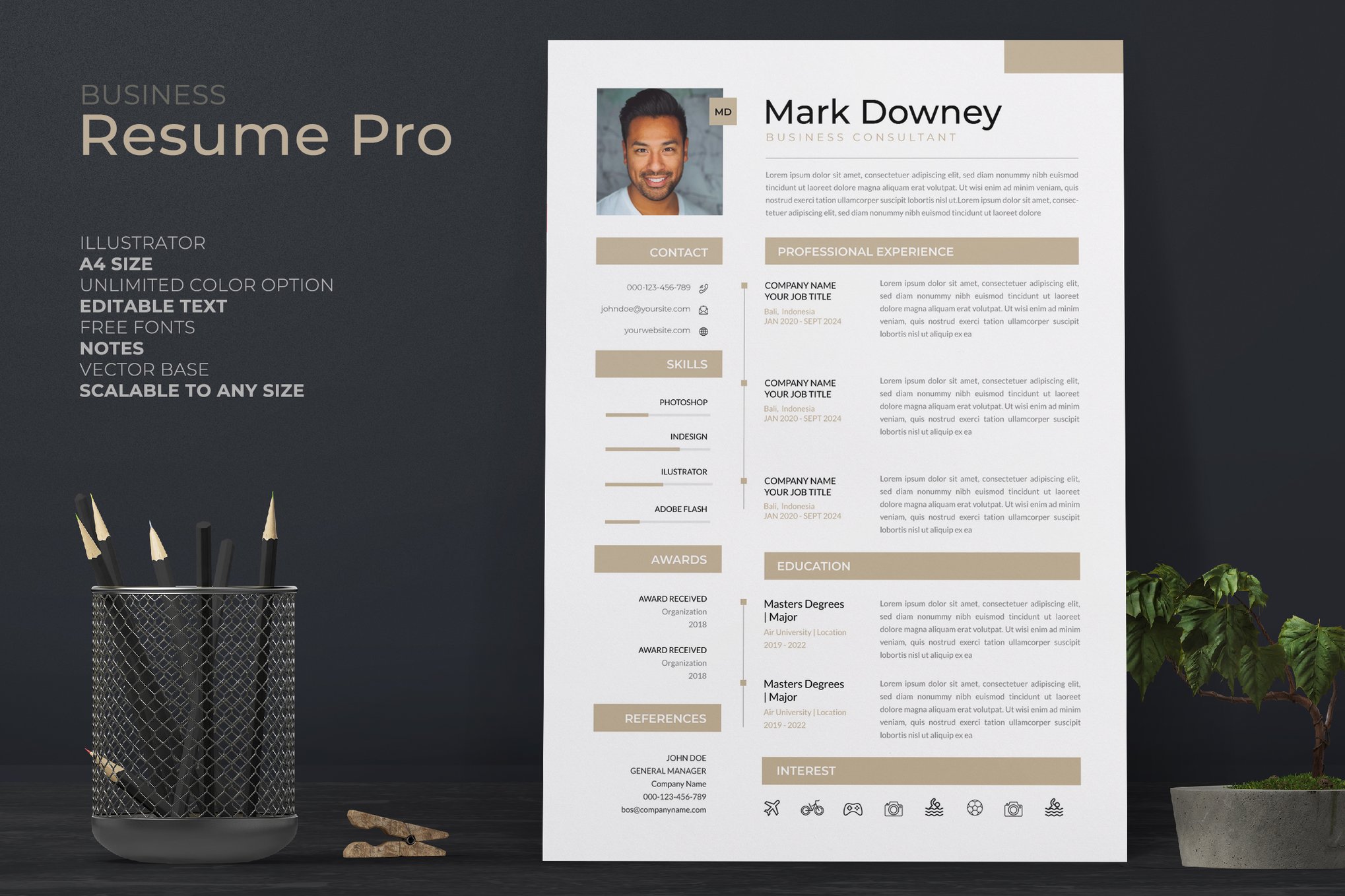 One-Page Resume Template for Consultants