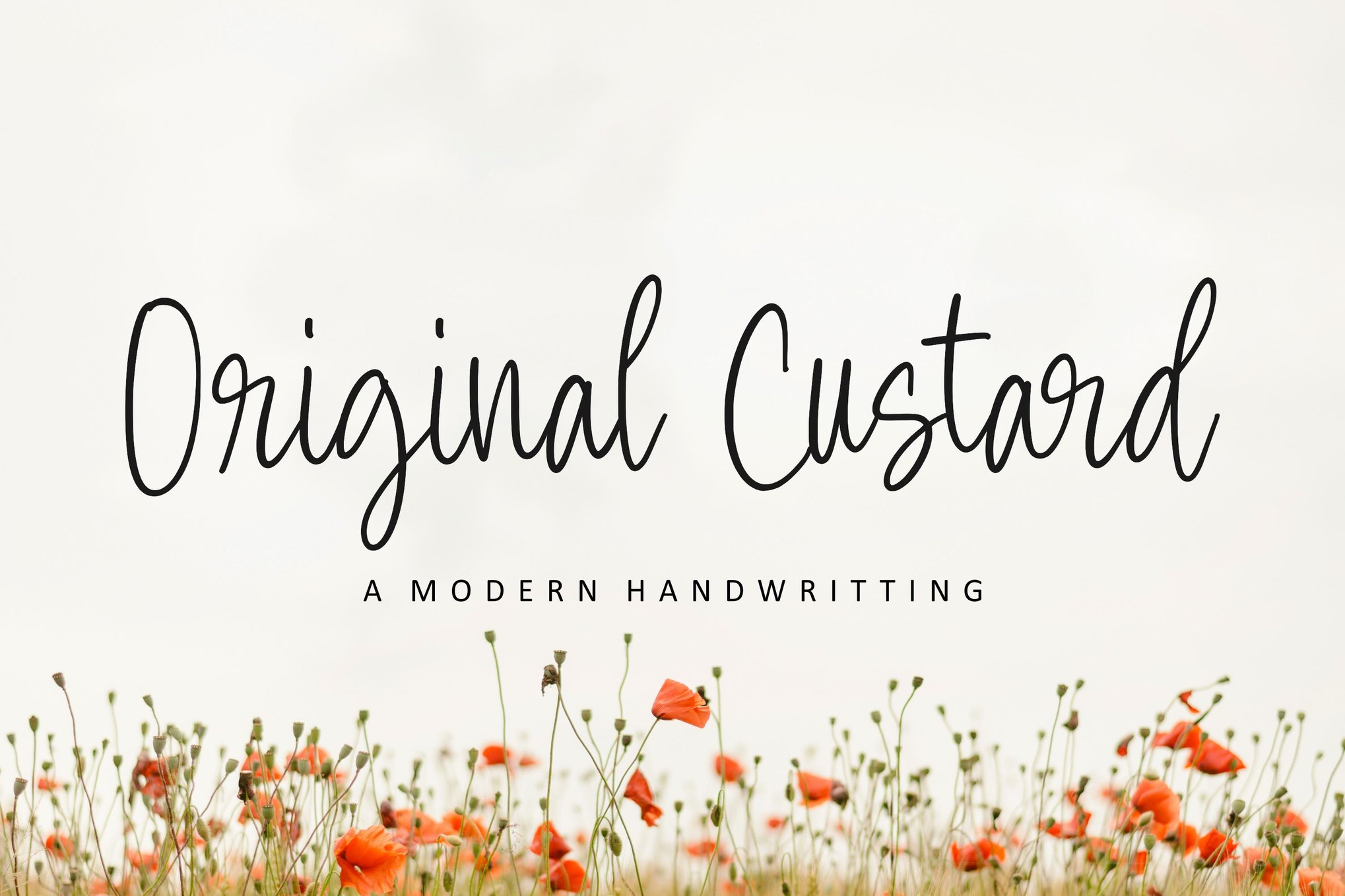 Original Custard - Handwritten Cursive Font