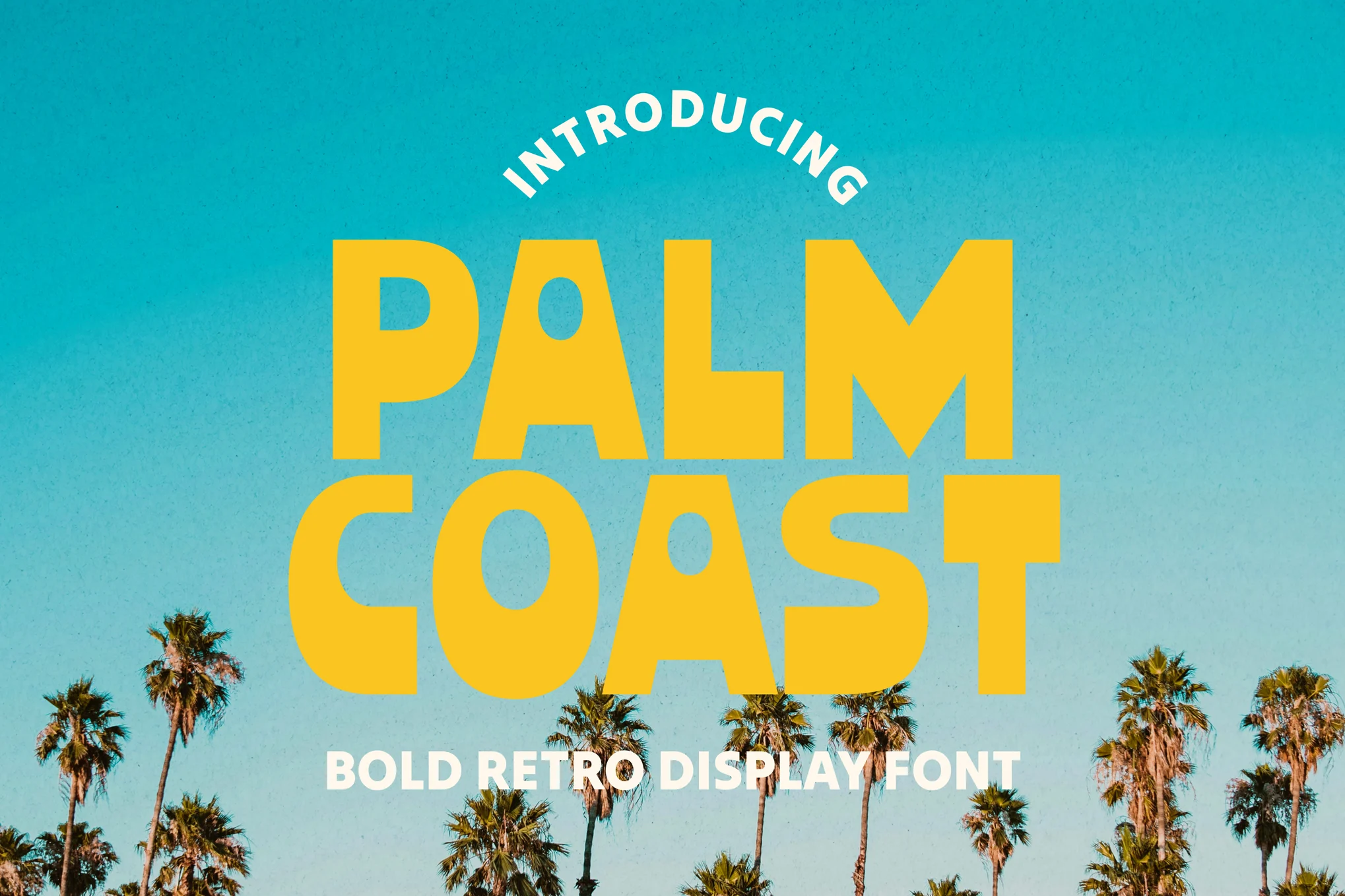 Palm Coast - Bold Retro Tropical Font