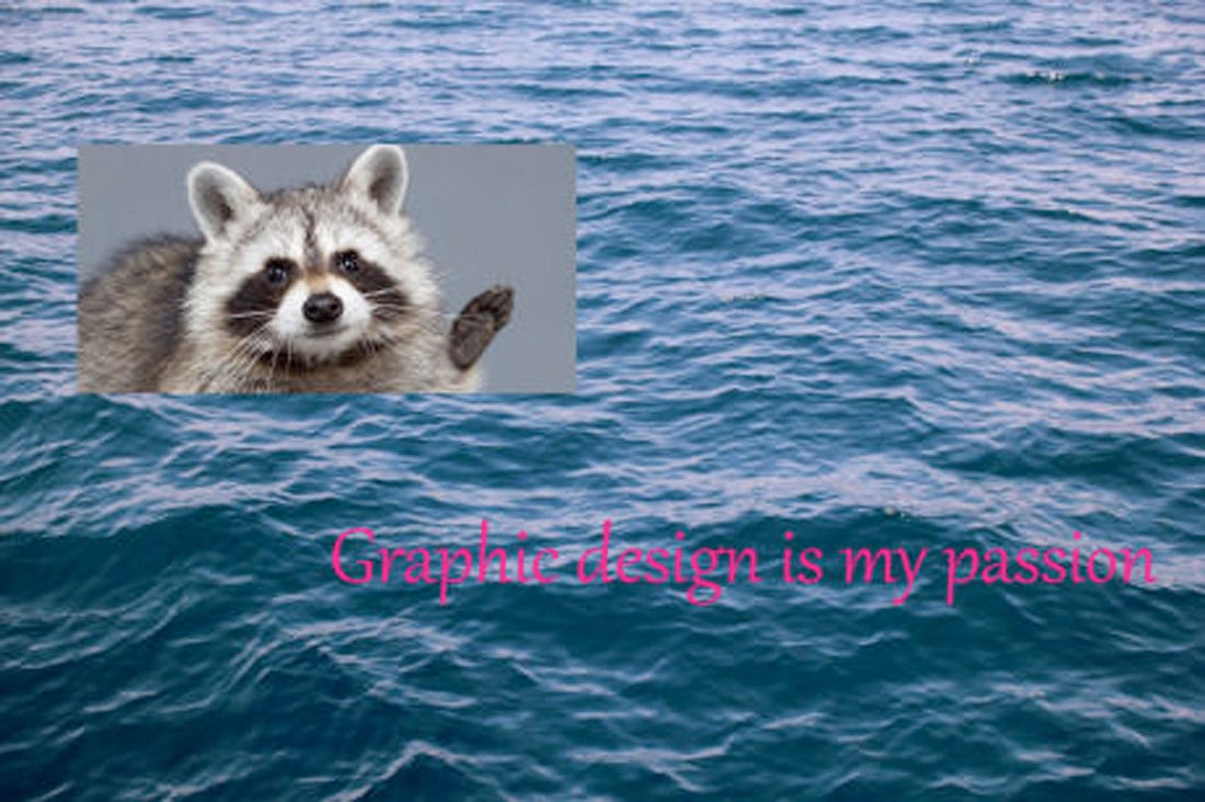 passion-raccoon Graphic Design Is My Passion: 20 Meme Picks design tips 