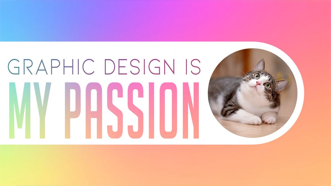 Graphic Design Is My Passion 20 Meme Picks Design Shack   Passion Rainbowcat 