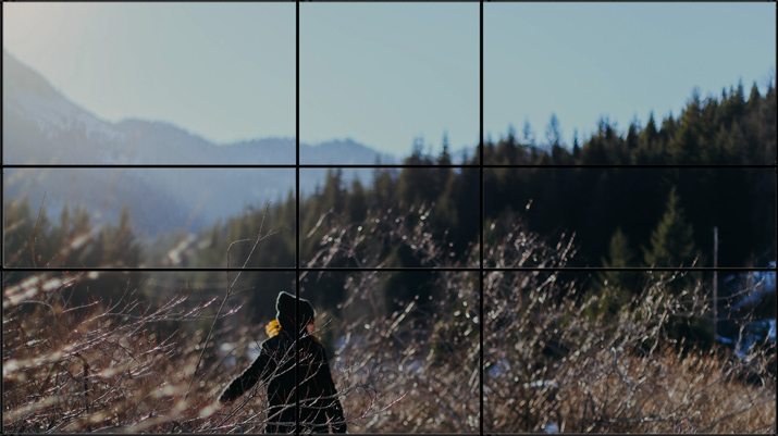 Looking at Images: Phi Grid vs. Rule of Thirds | Design Shack