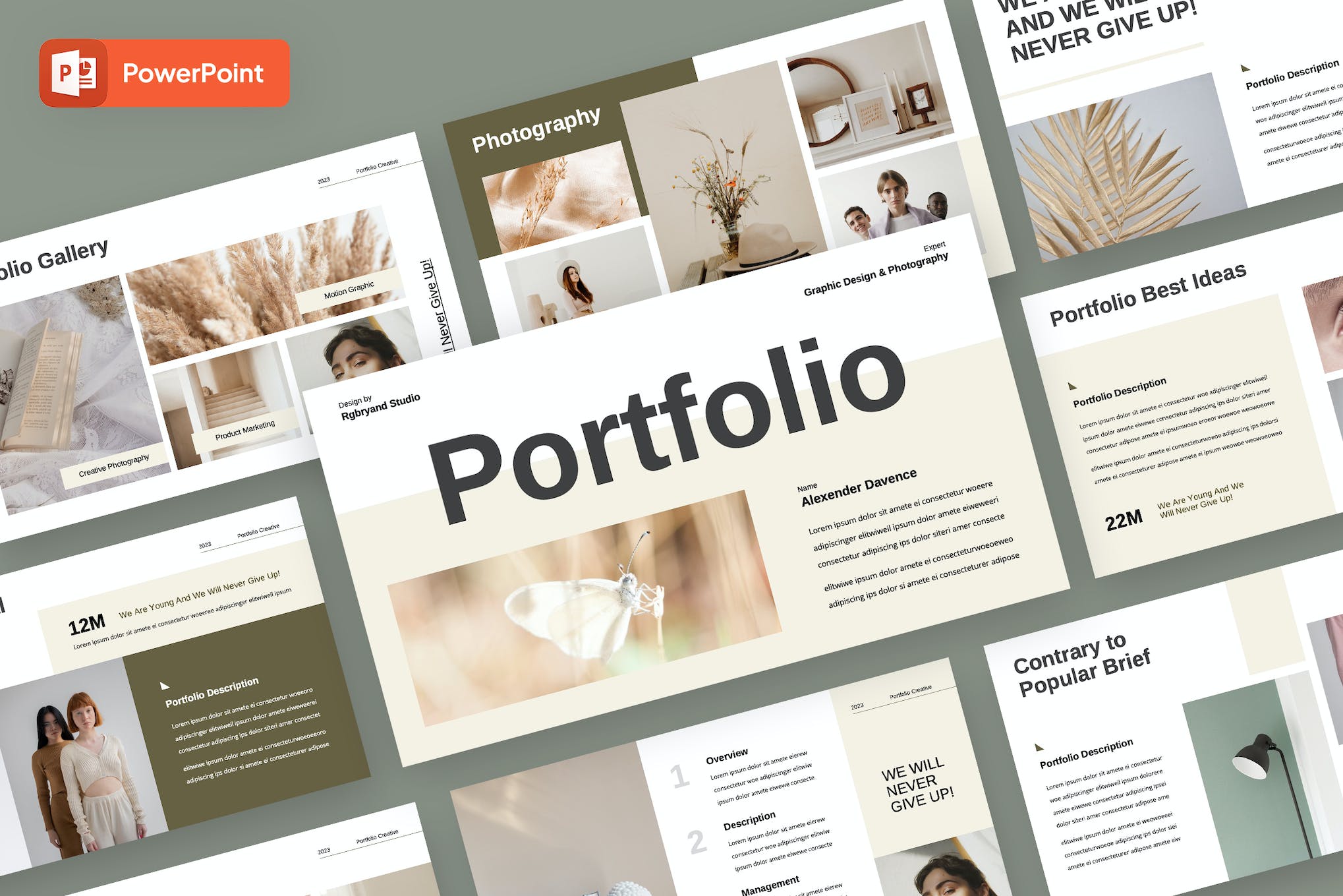 Professional Portfolio PowerPoint Template