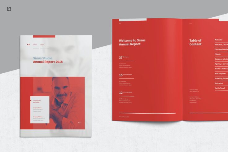 View Information about Red Annual Report Template