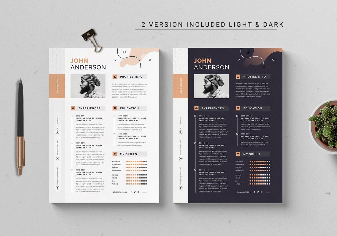 resume color schemes - Dark Salmon