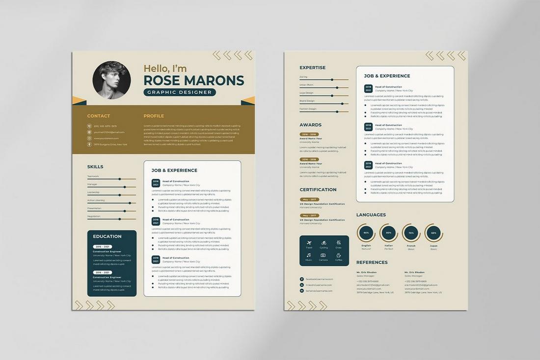 resume color schemes - Dirt brown and elephant blue