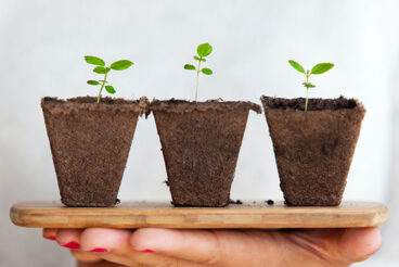 5 Outside the Box Revenue Stream Ideas for Agencies