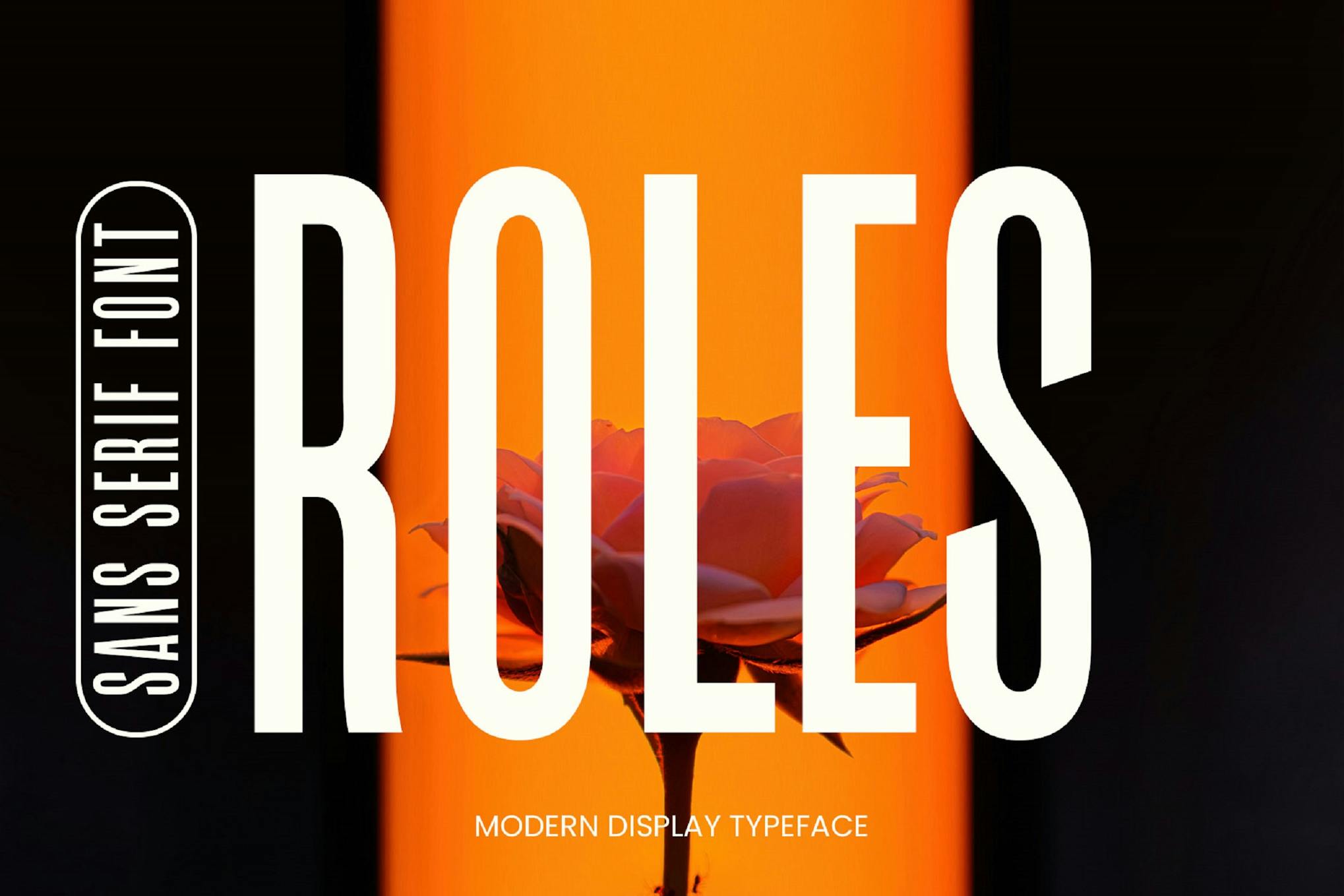 Roles - Modern Premiere Pro Font