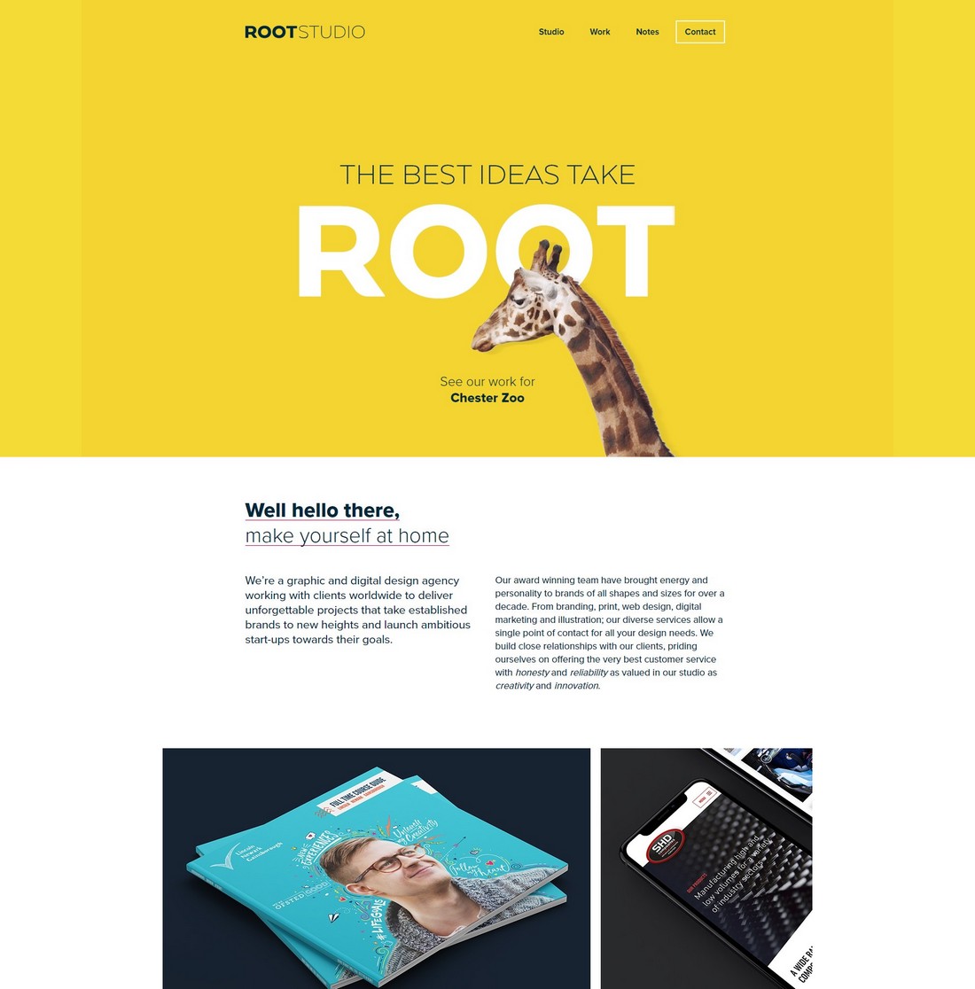 rootstudio 10 Best Graphic Design Portfolio Examples + Templates design tips 