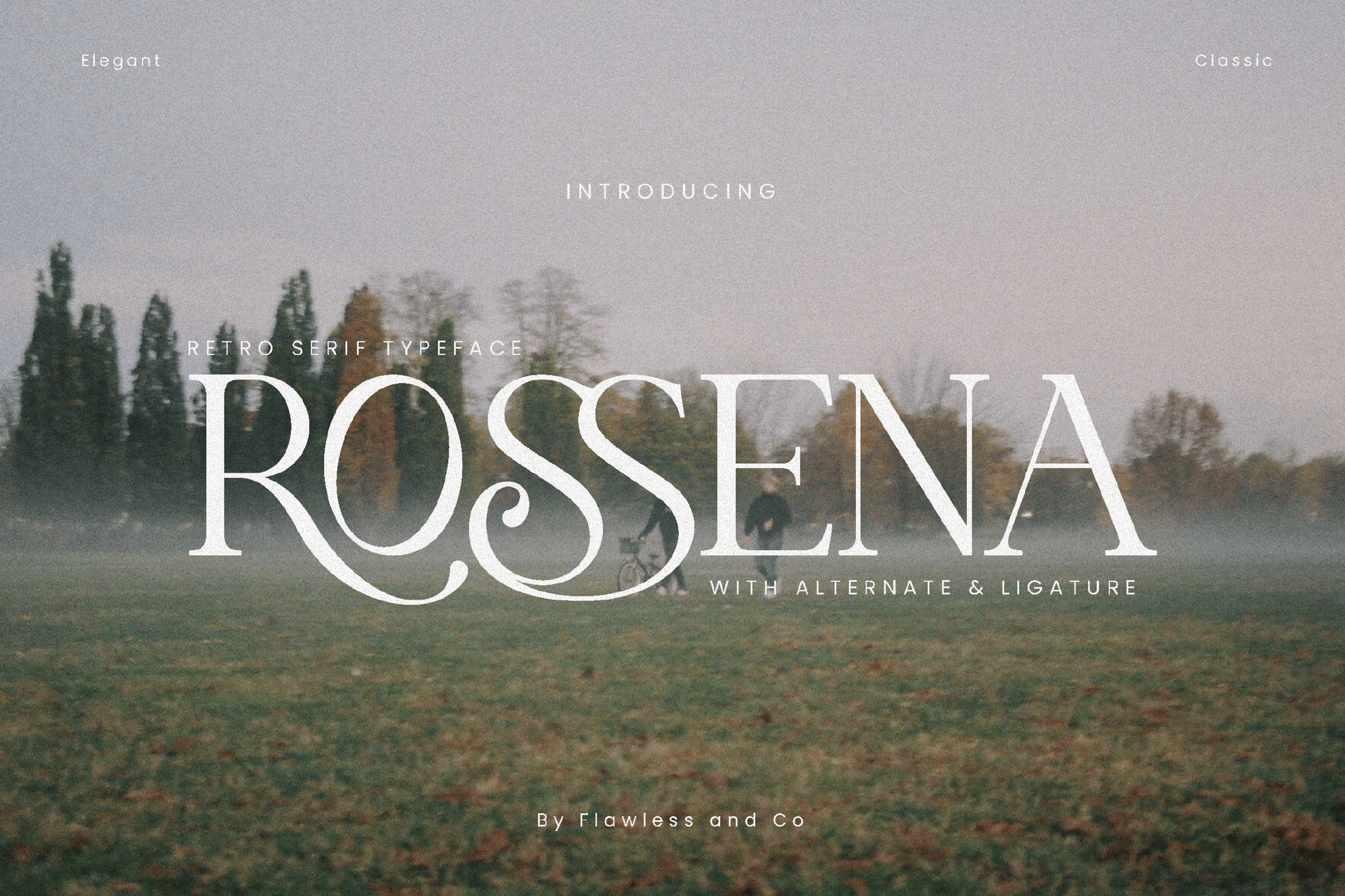 Rossena - Retro Serif Logo Font