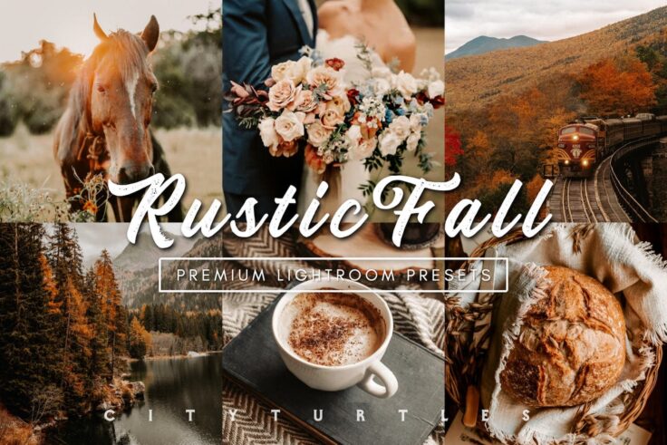 View Information about Rustic Fall Moody Warm Presets