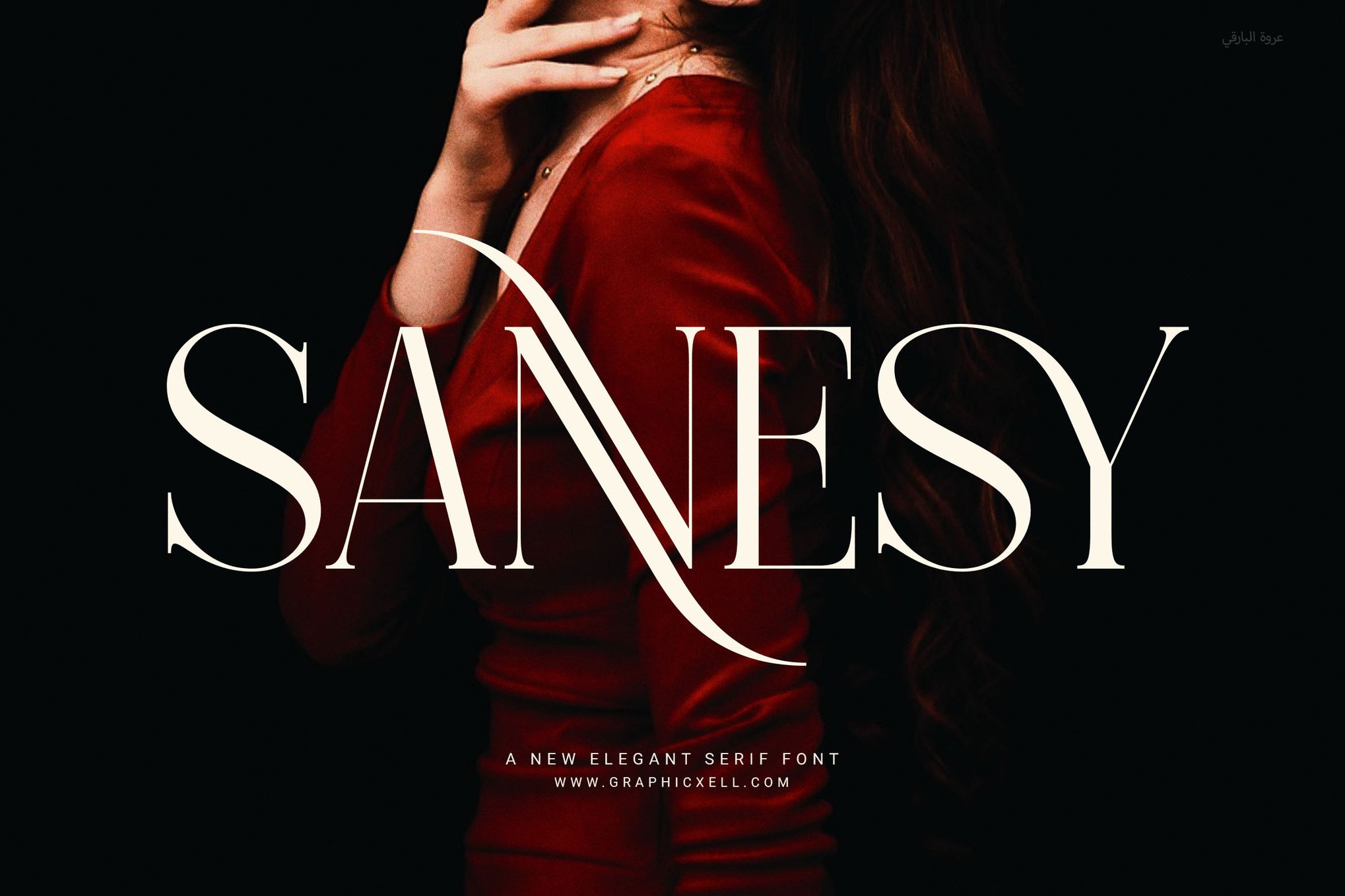 Sannesy - Clean & Elegant Serif Font