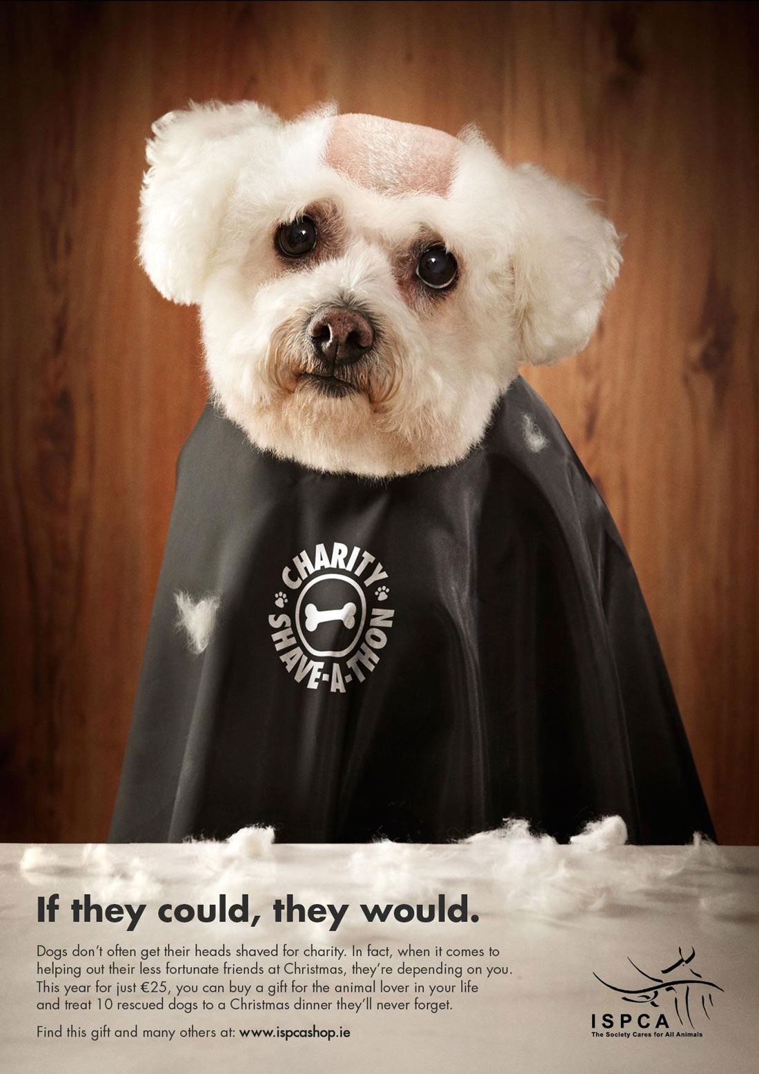 shave-dog 25 Clever and Funny Christmas Print Ads design tips 