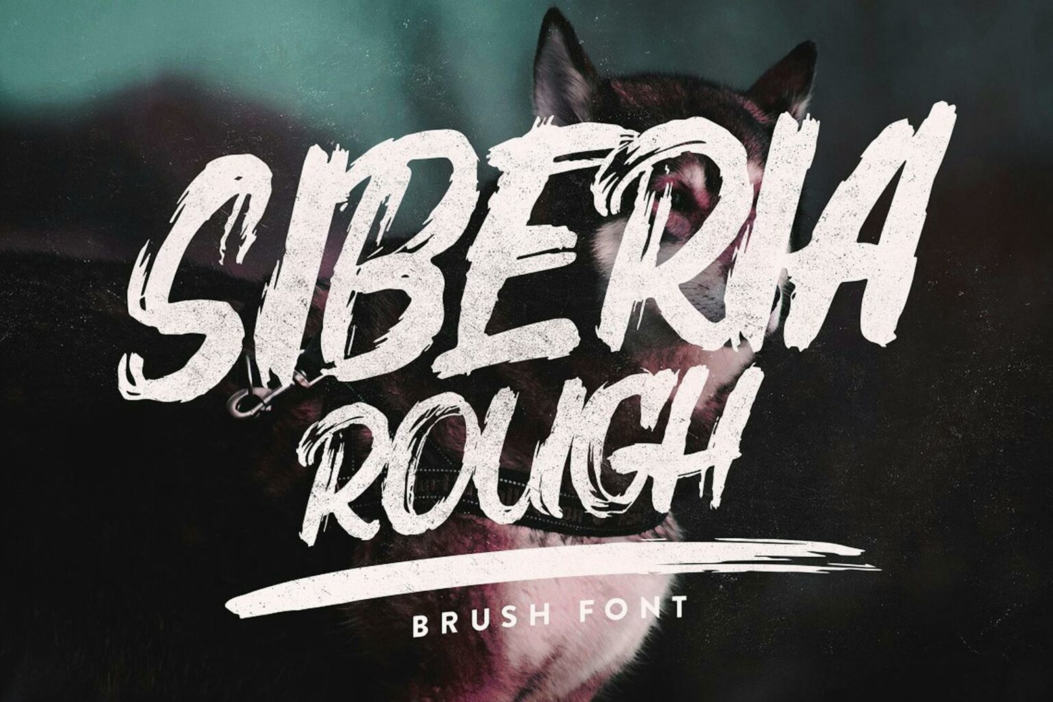 25+ Best Fonts for Premiere Pro Video Projects (+ How to Add Them ...