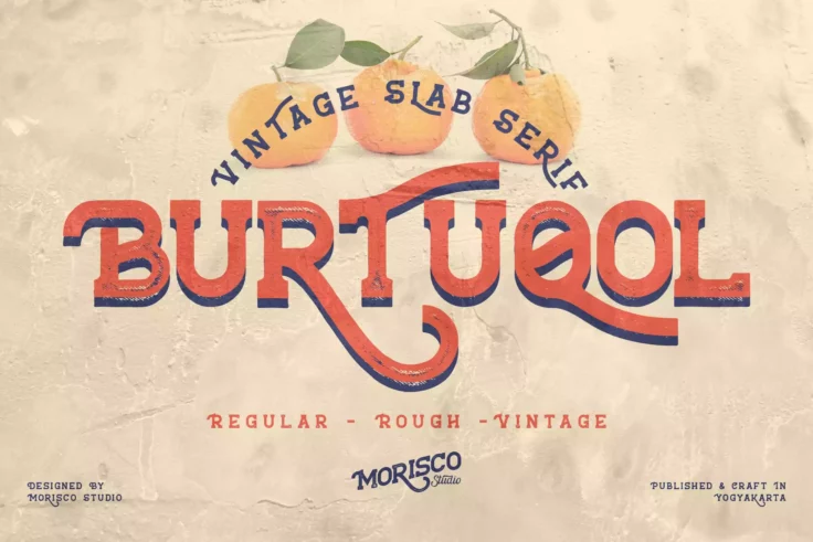 View Information about Burtuqol Vintage Slab Serif Font