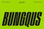 20+ Exceptional Slanted Fonts in 2026